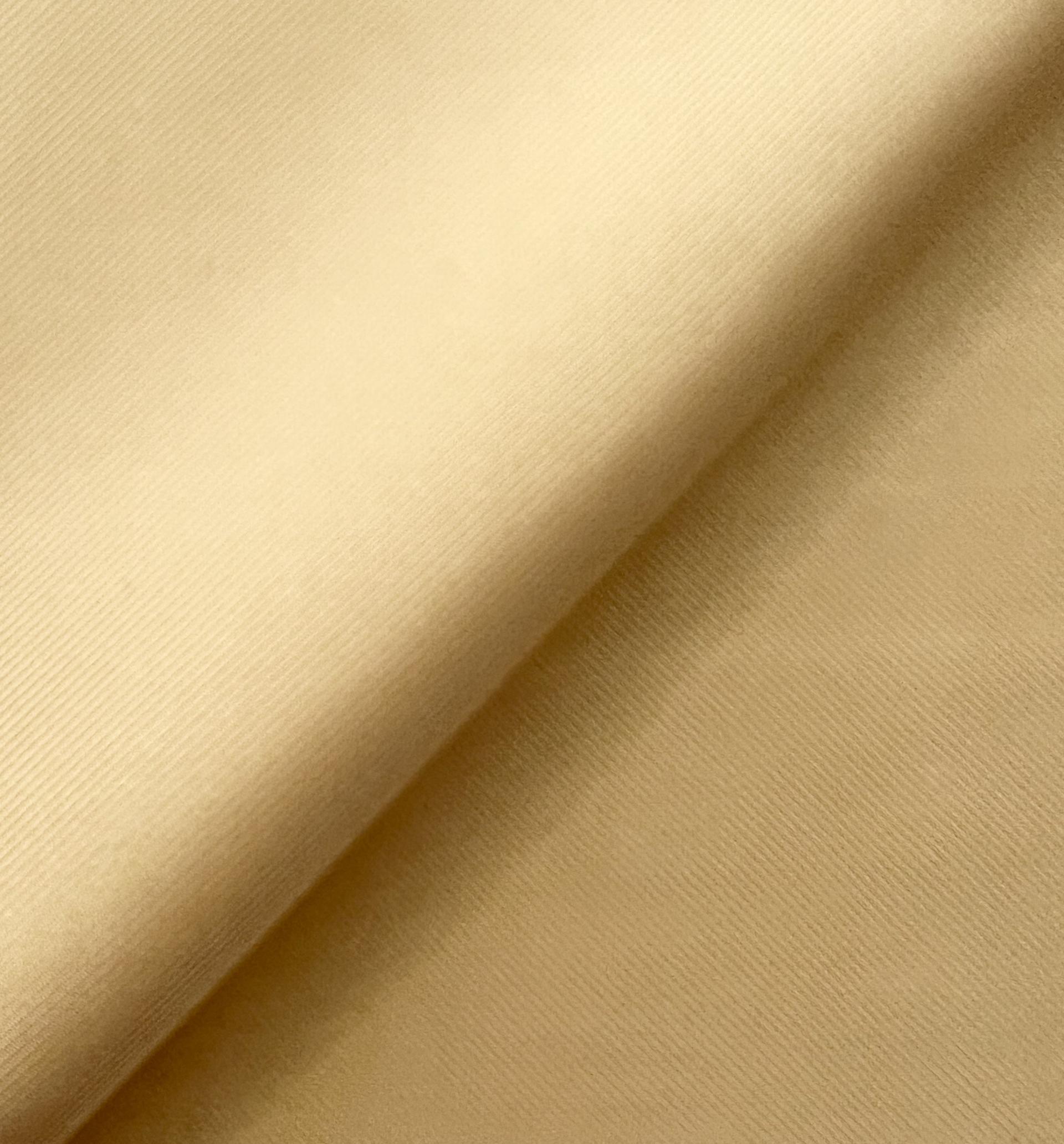 Silk Twill in Nectarine