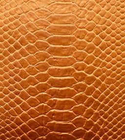 Silk & Nylon Embossed of Reptile in Orange