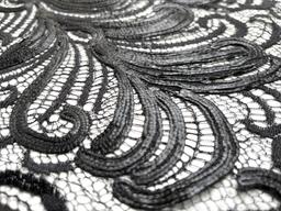 Embroidered Chantilly Lace Made in France Nior