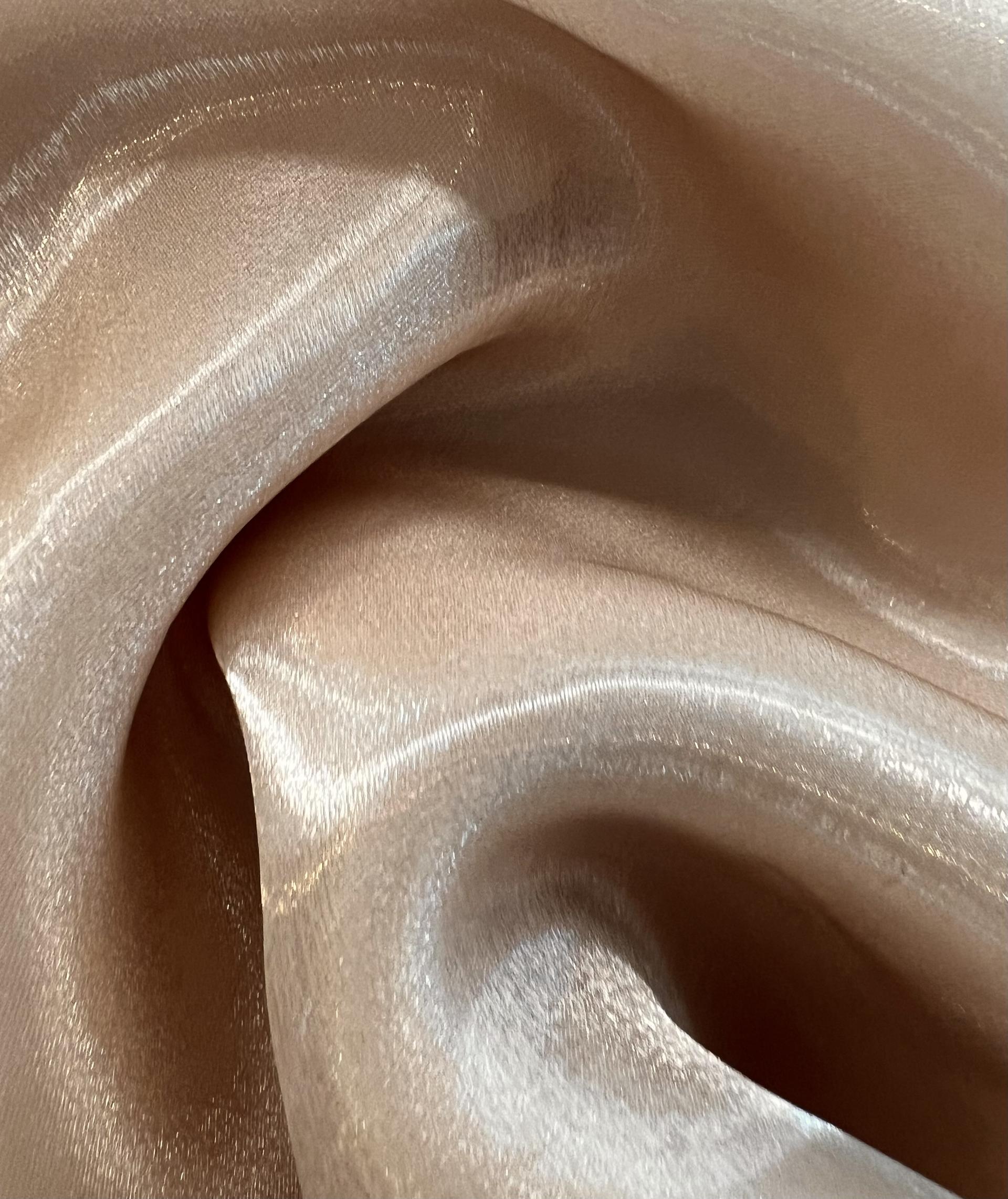 Polyester Liquid Satin Organza in Oyster