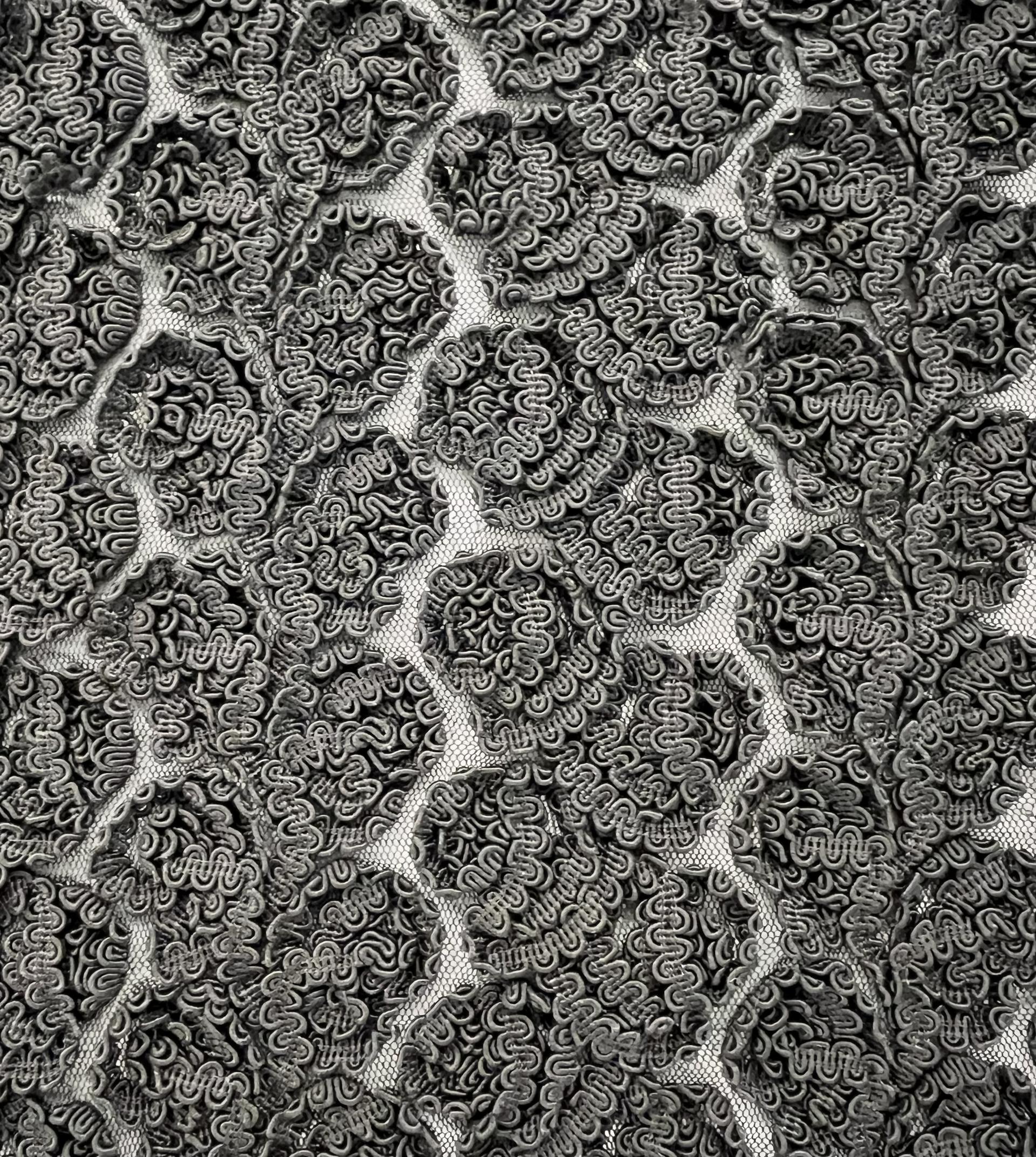 Embroidered Tulle with Rayon Corded Ribbon in Black