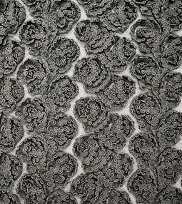 Embroidered Tulle with Rayon Corded Ribbon in Black