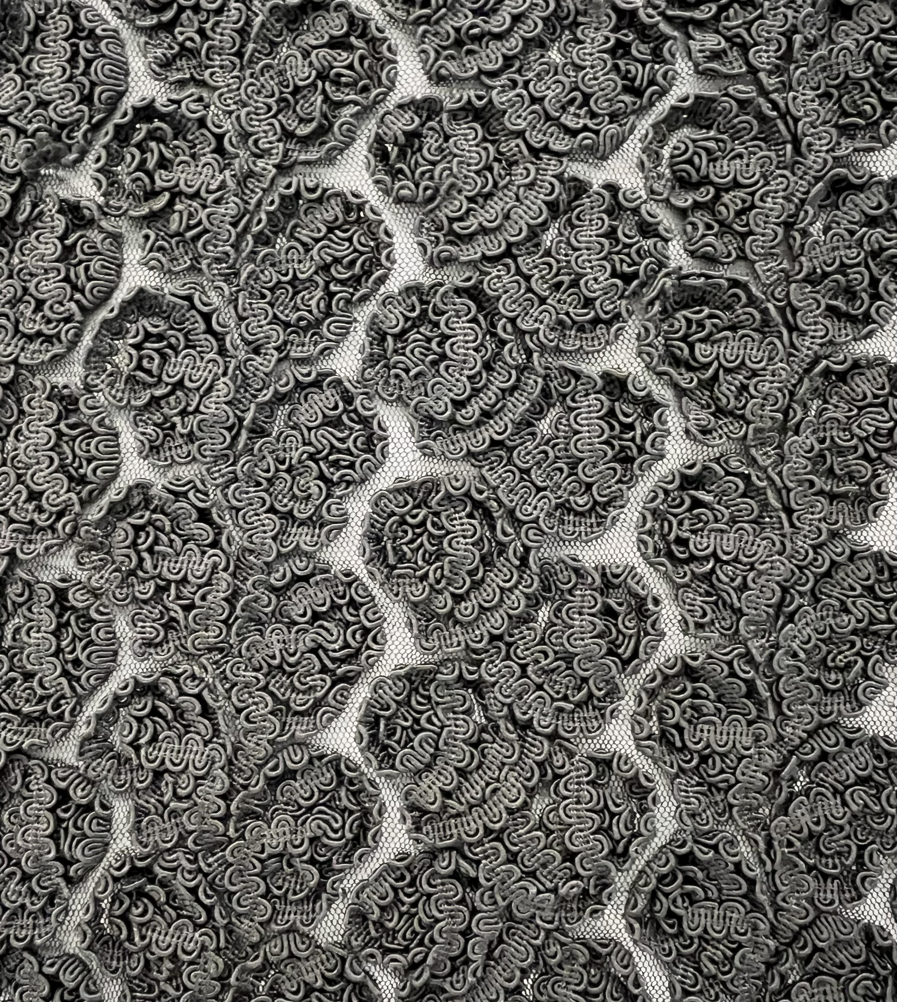 Embroidered Tulle with Rayon Corded Ribbon in Black