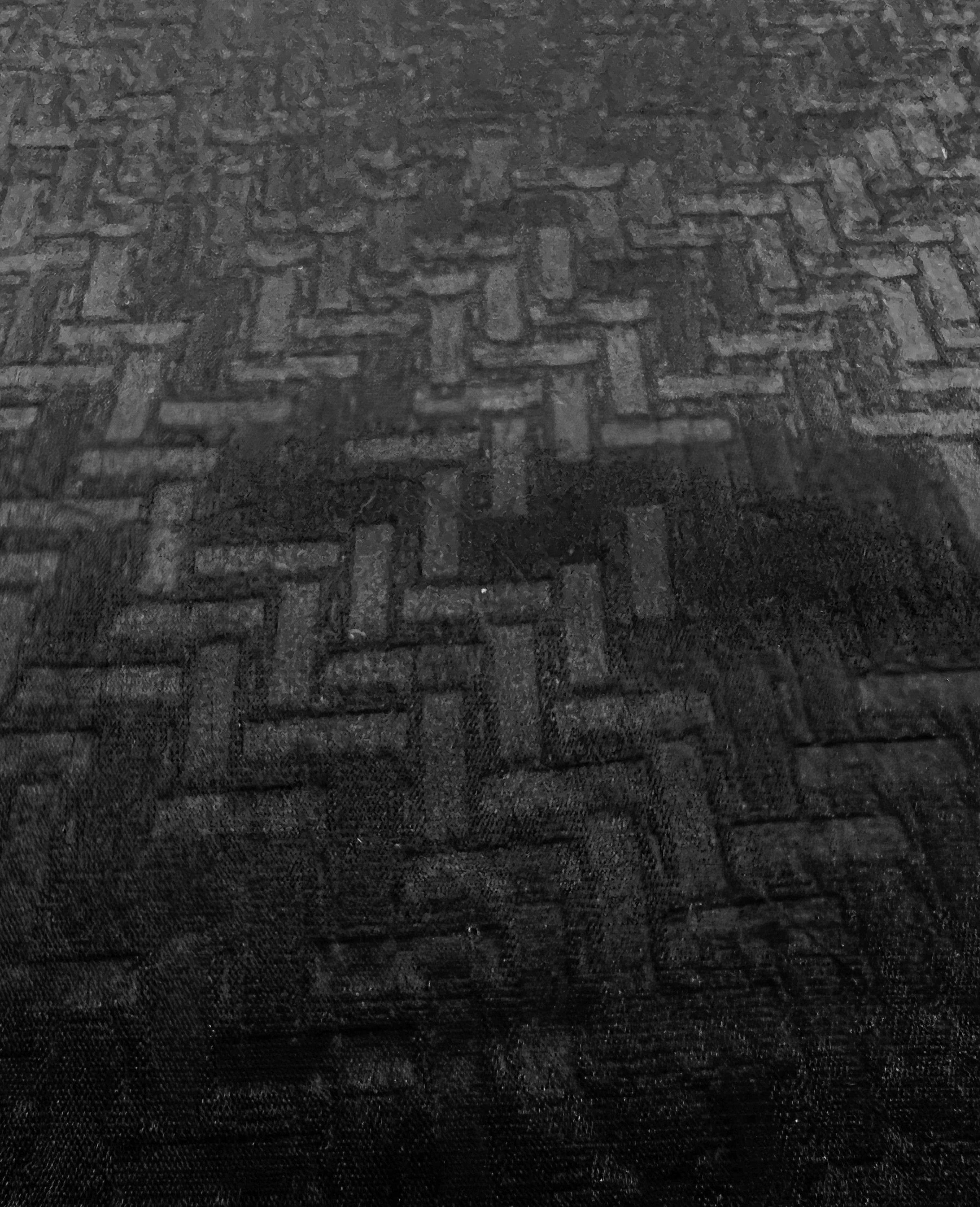 Embossed Triacetate & Polyester Blend Charmeuse in Black 