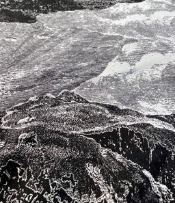 Printed Silk Twill in Grey,Black & white