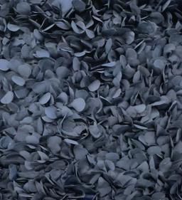 Laser Cut Petals on Polyester Bobbinet in Navy 