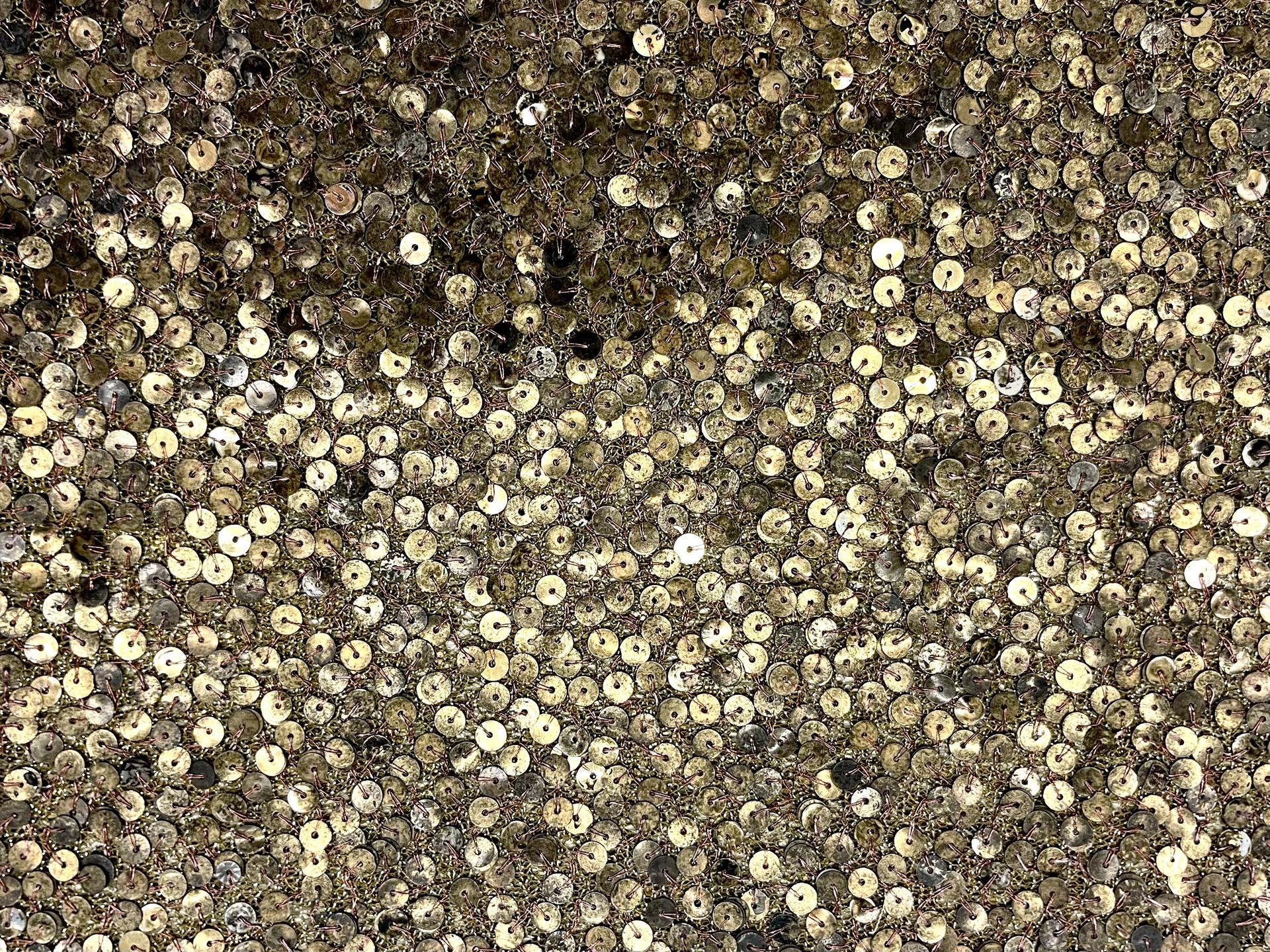 Sequins on Metallic Tulle