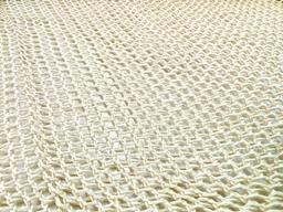 100% Cotton Novelty Net in Natural