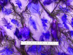 Feathers on Silk Chiffon in Purple