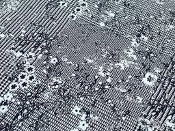 Stretch Cotton Brocade Small Floral Over Glen Plaid 