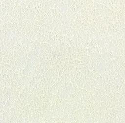 Chantilly Lace in Ivory 