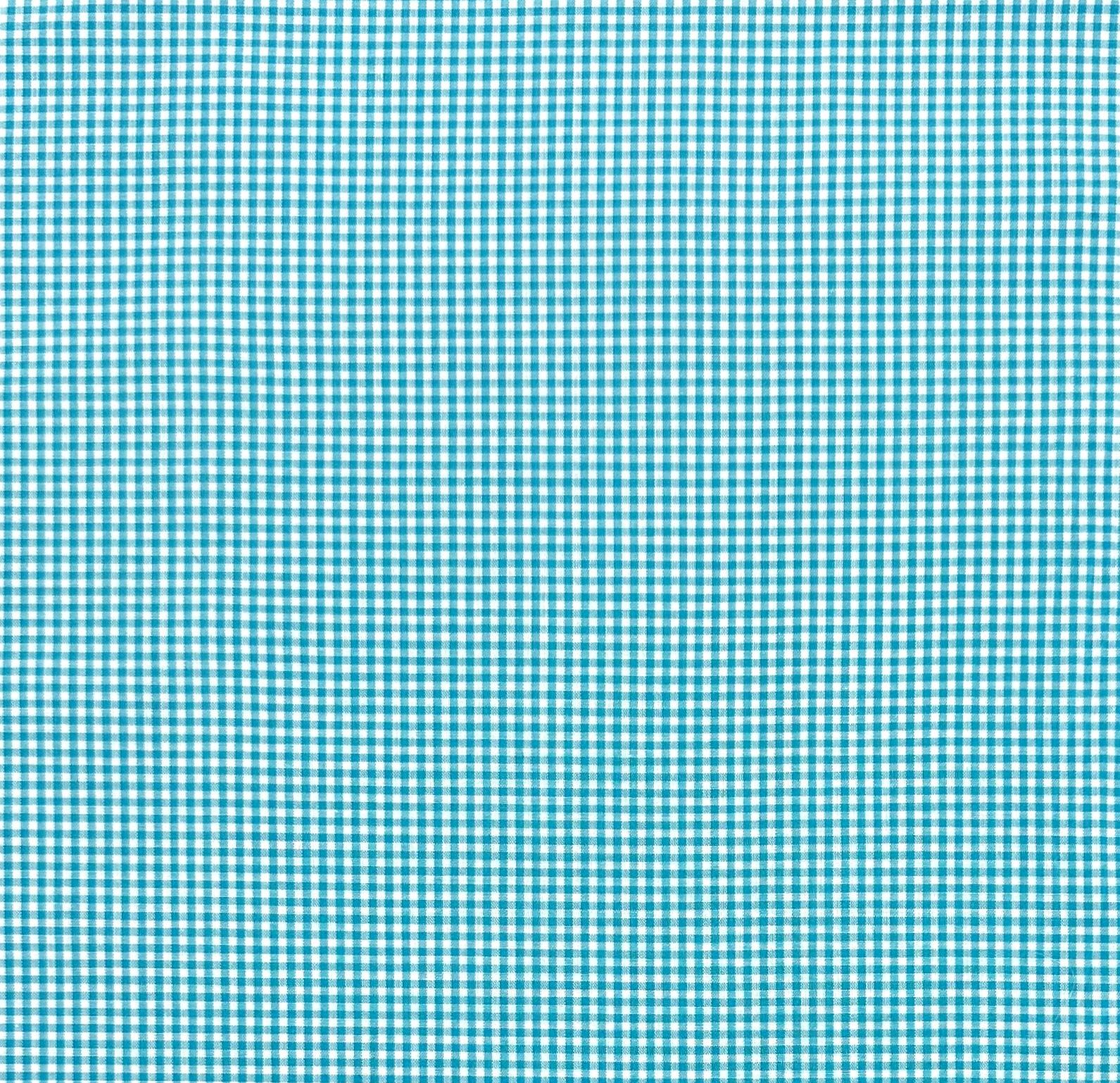 1/8" Cotton Gingham in Turquoise 