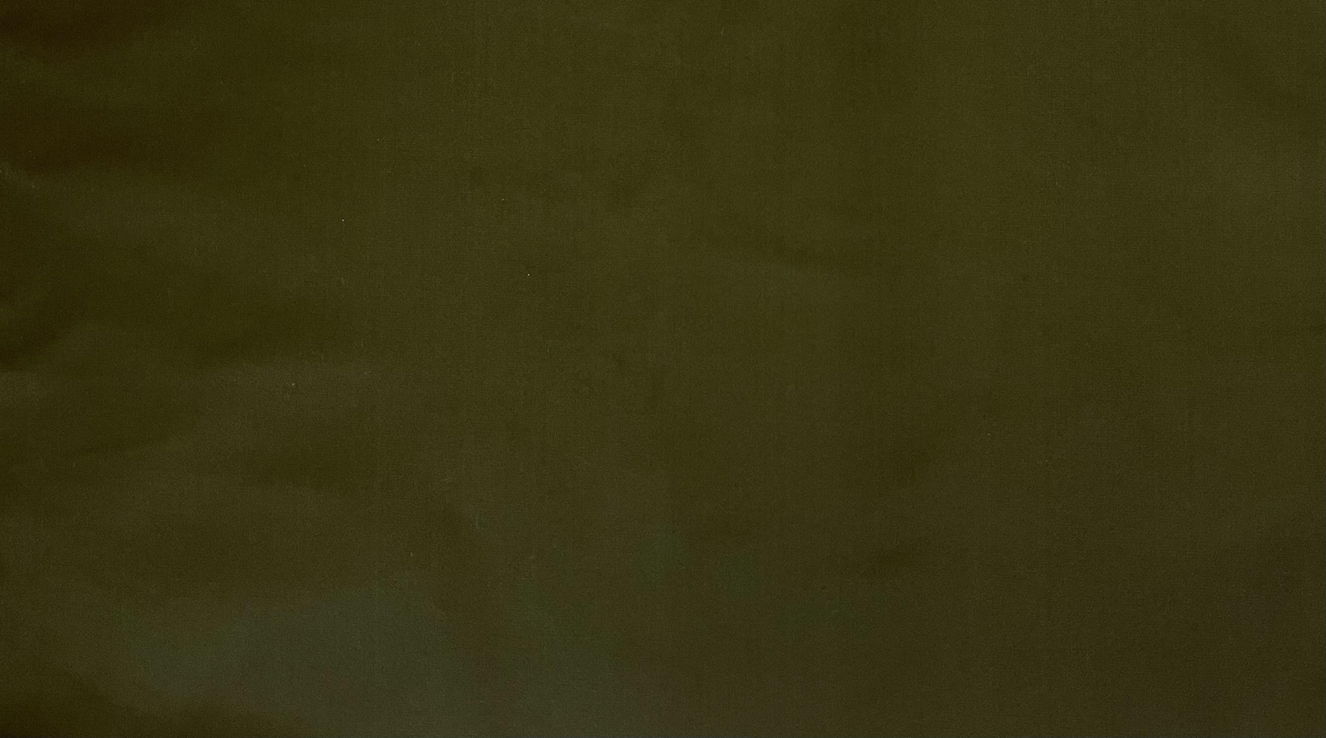 Silk Faced Duchess Satin in Dark Olive