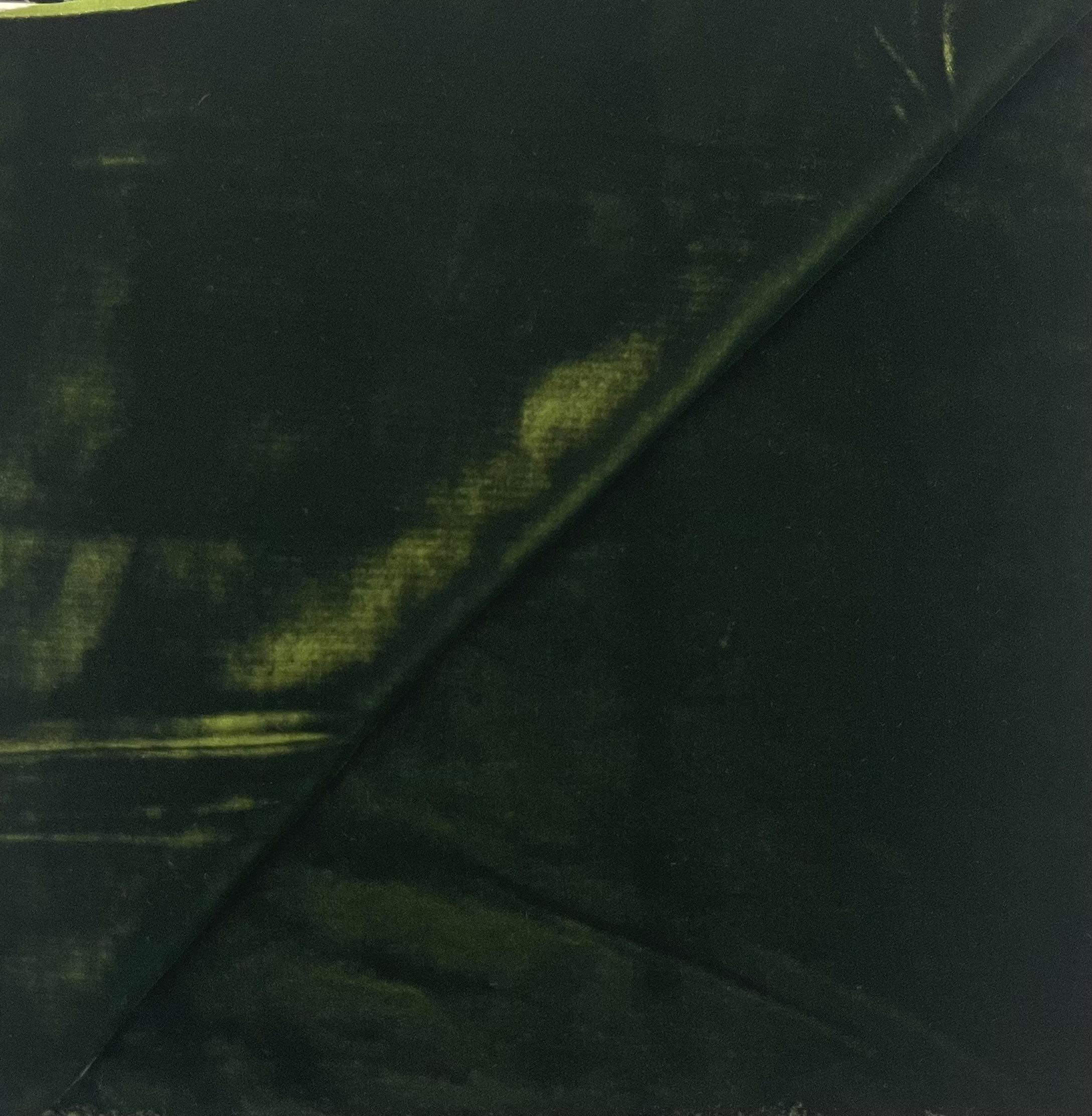 Rayon Velvet in Olive Green 