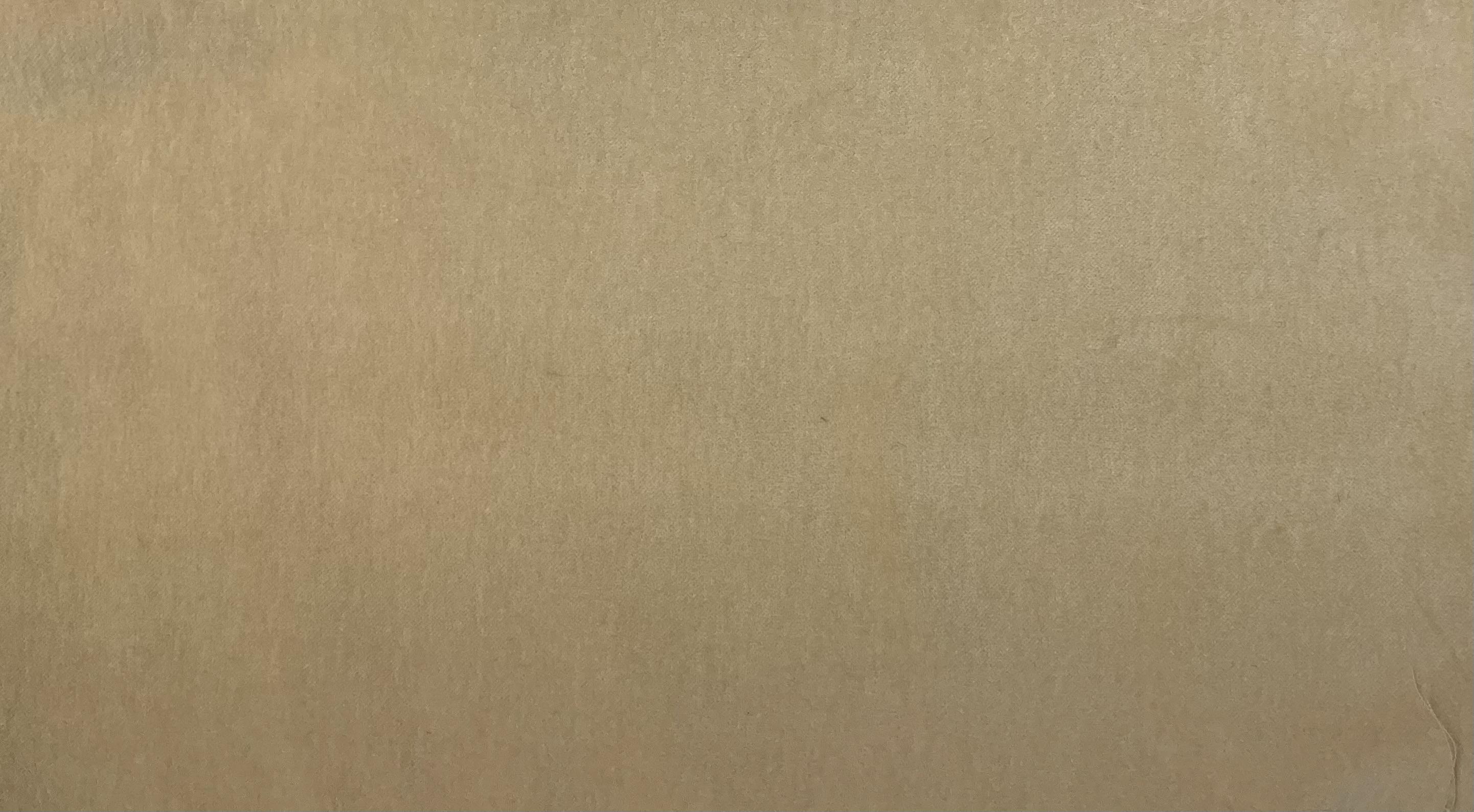 Cotton Velveteen in Eggshell