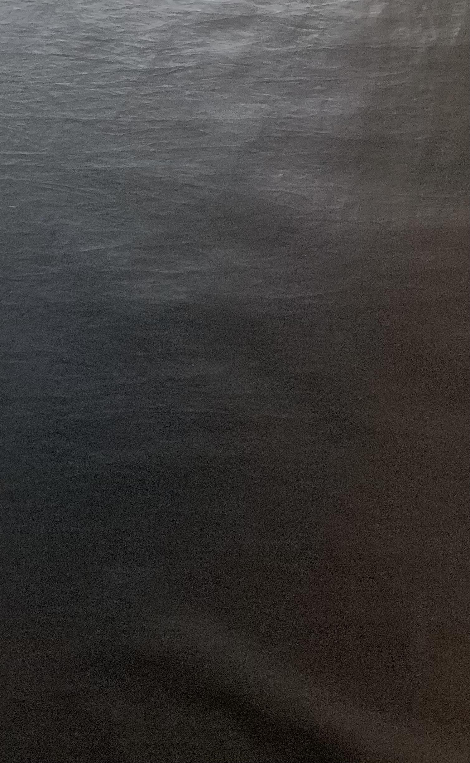 Waterproof Coated Nylon In Ebony