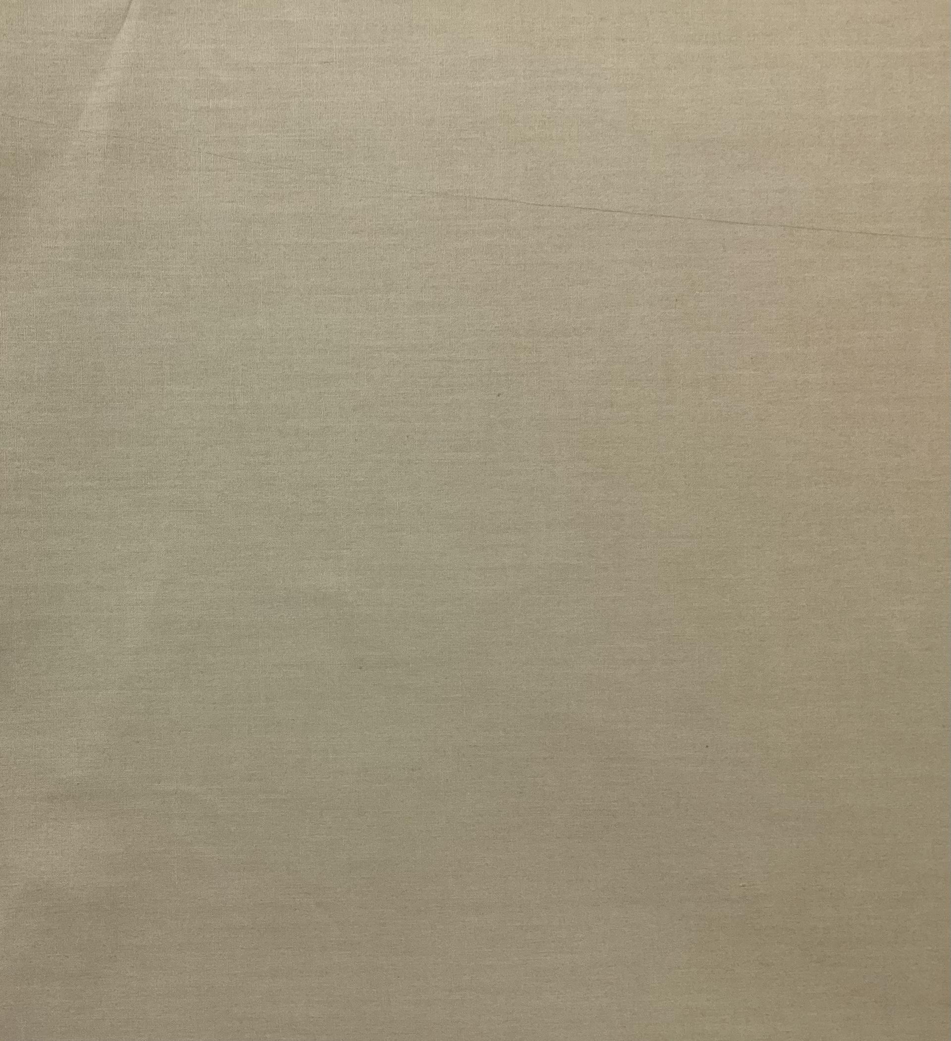 100% Cotton Taffeta In Desert