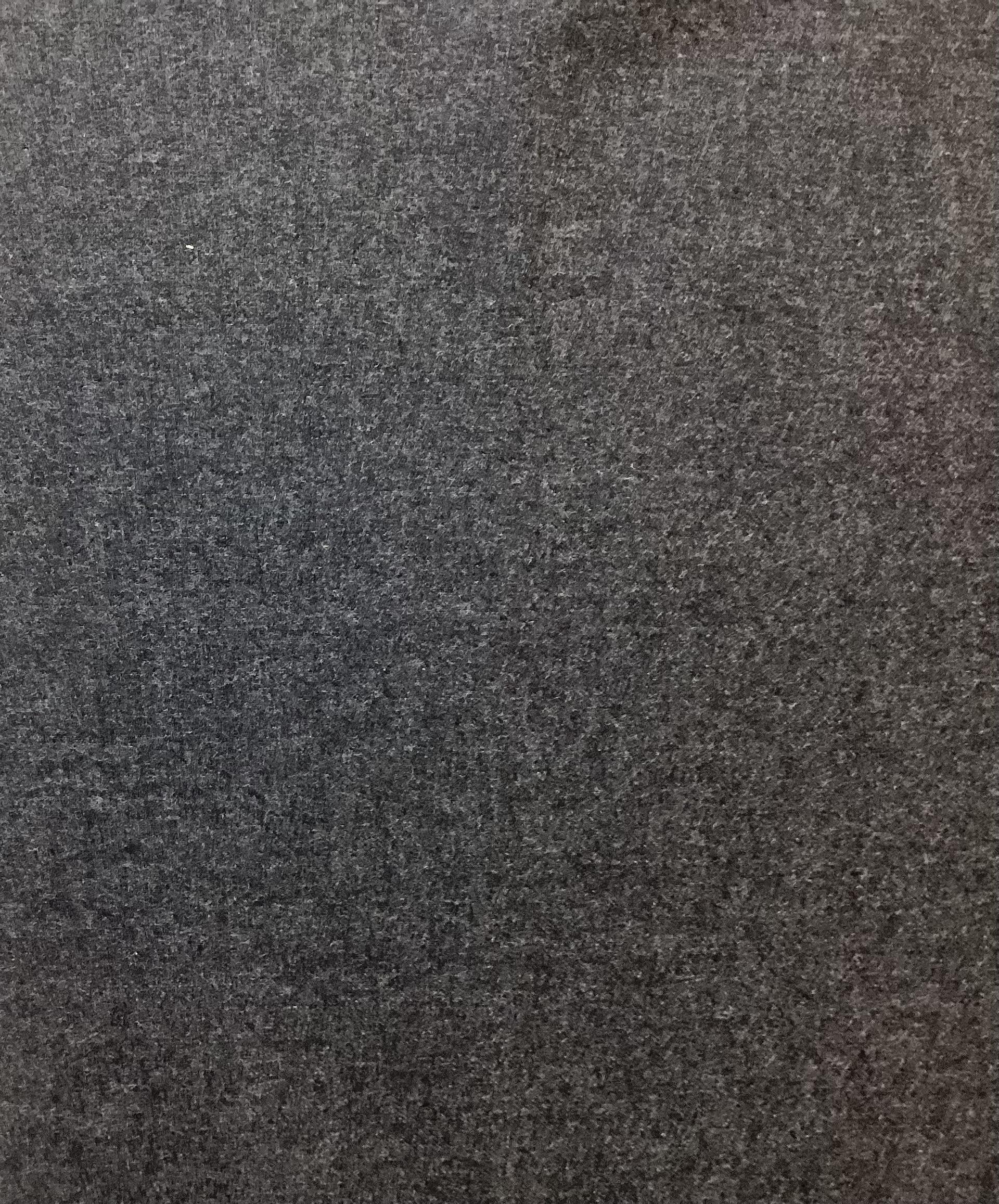 Made in Italy Vitale Barberis Pure Wool Flannel In Graphite 