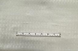 Made in Italy Textured Geometric Silk Jacquard in Off White