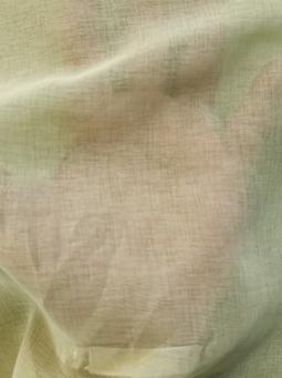 Japanese Polyester Gauze Chiffon in Matcha  