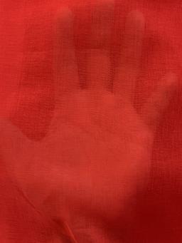 Japanese Polyester Gauze Chiffon in Red