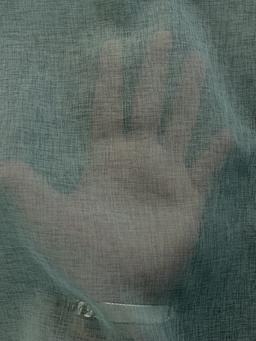 Japanese Polyester Gauze Chiffon in Eucalyptus