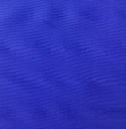 Polyester & Nylon Stretch Rib Knit In Blue Sapphire 