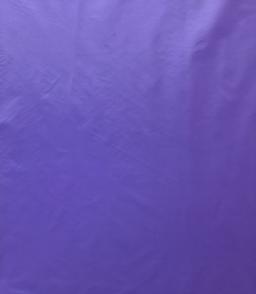 Made in Japan Nylon Cire Rainwear in Thistle