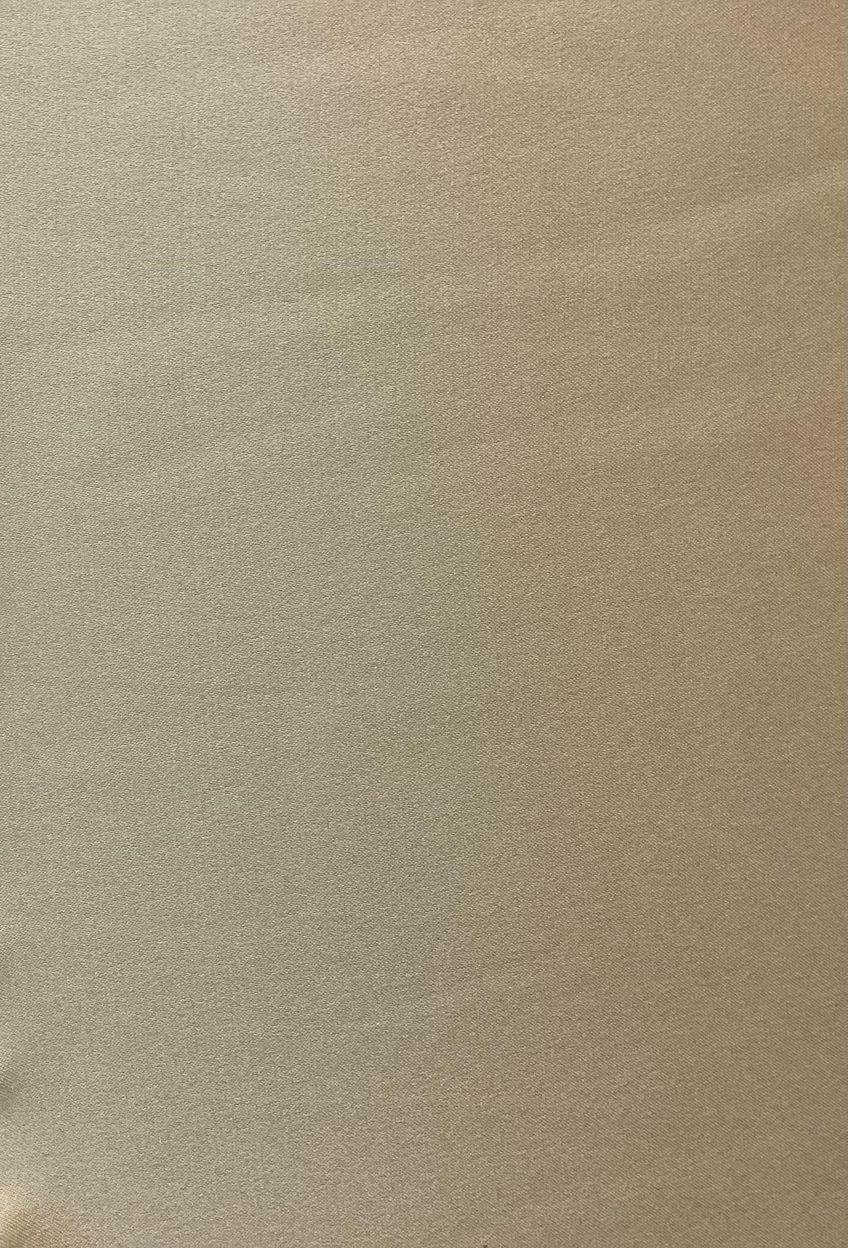 SUEDED 100% SILK CHARMEUSE IN BUTTER