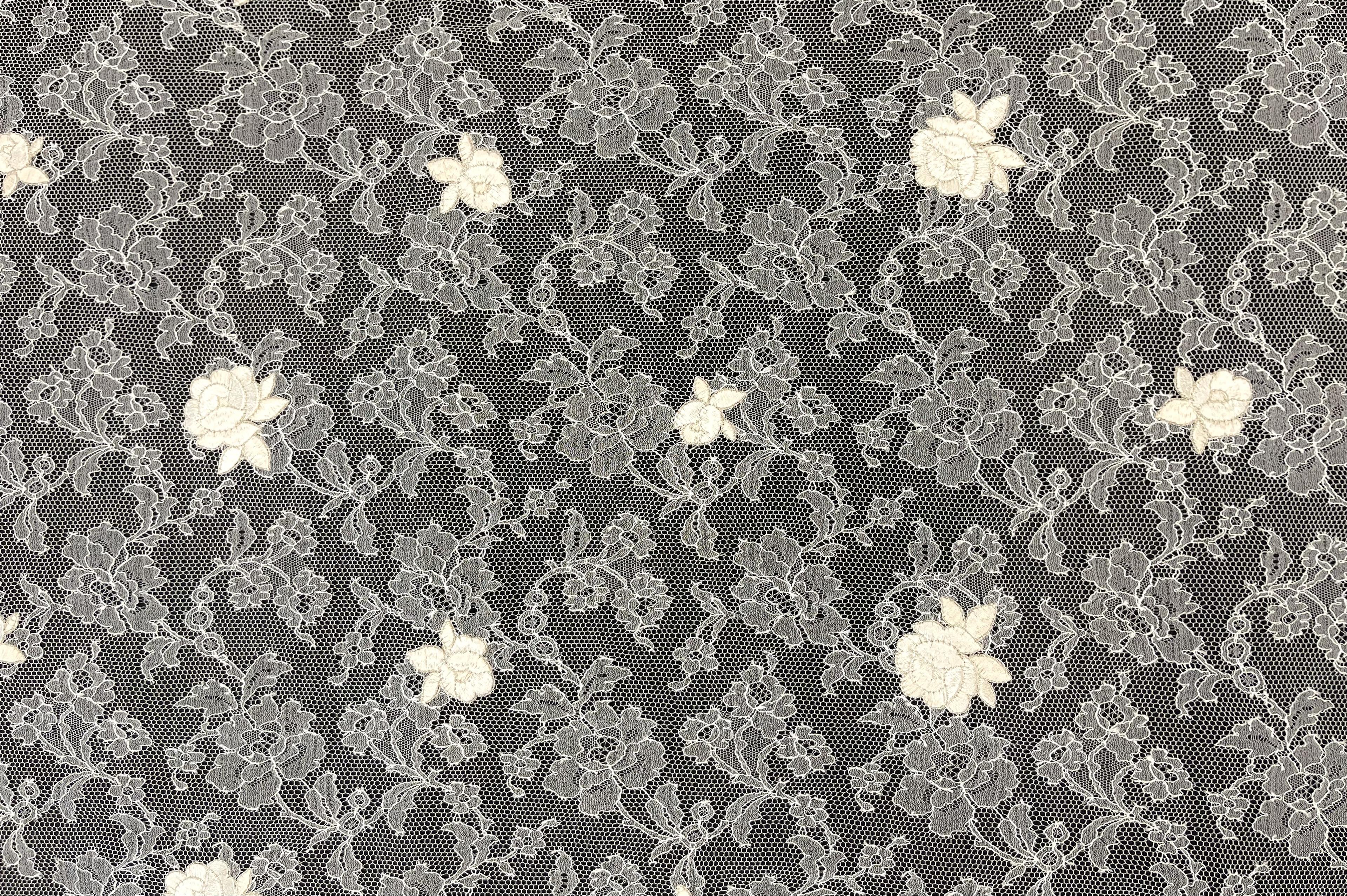 Made in France Embroidered Chantilly Lace in Diamond White Fabric in Warehouse