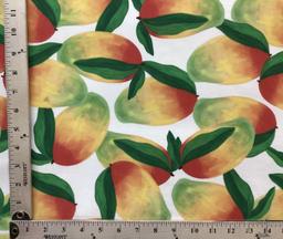 Cotton & Lycra Mengo Printed