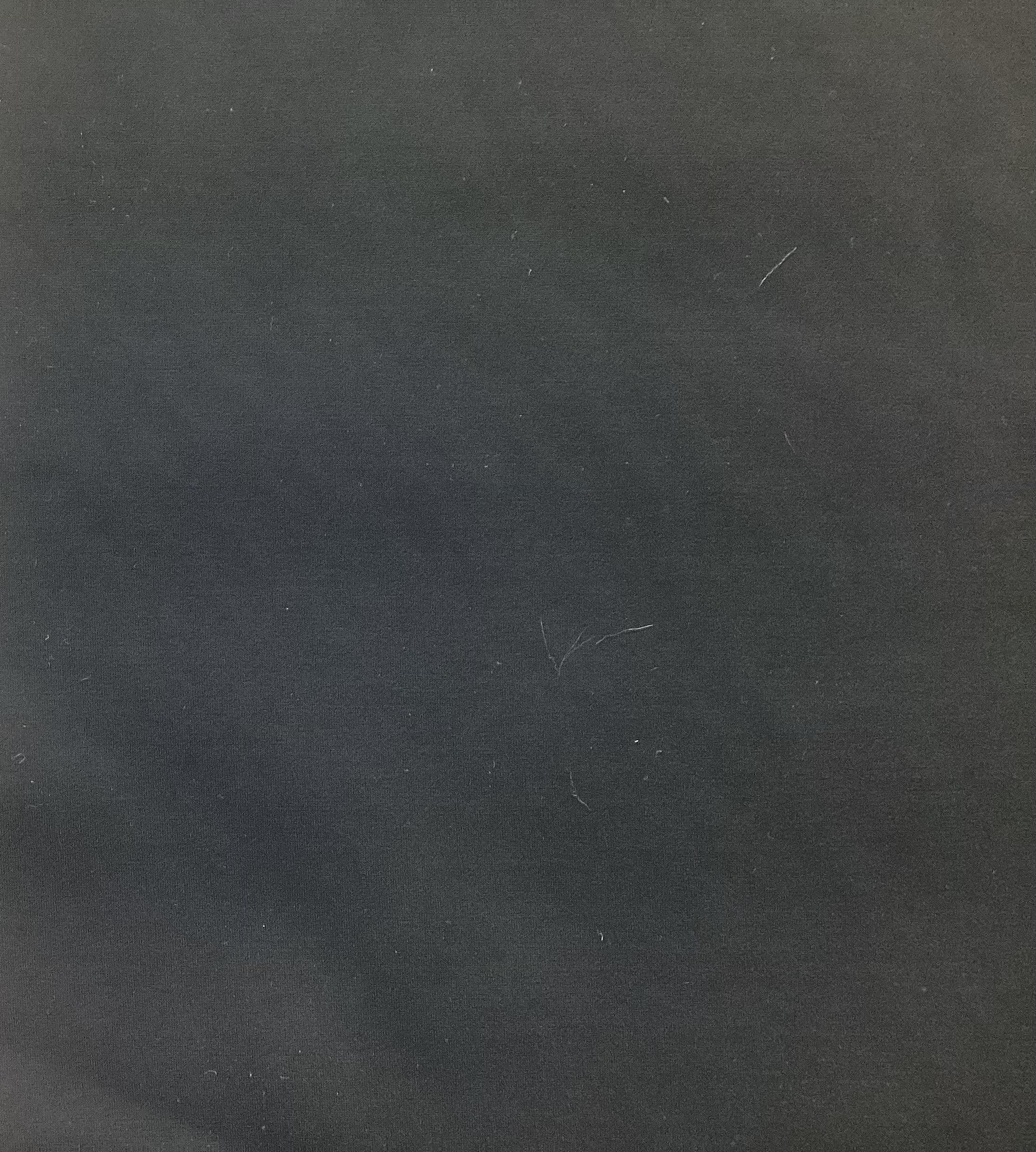 Nylon Spandex Bonded Eurojersey in Galxy Grey 