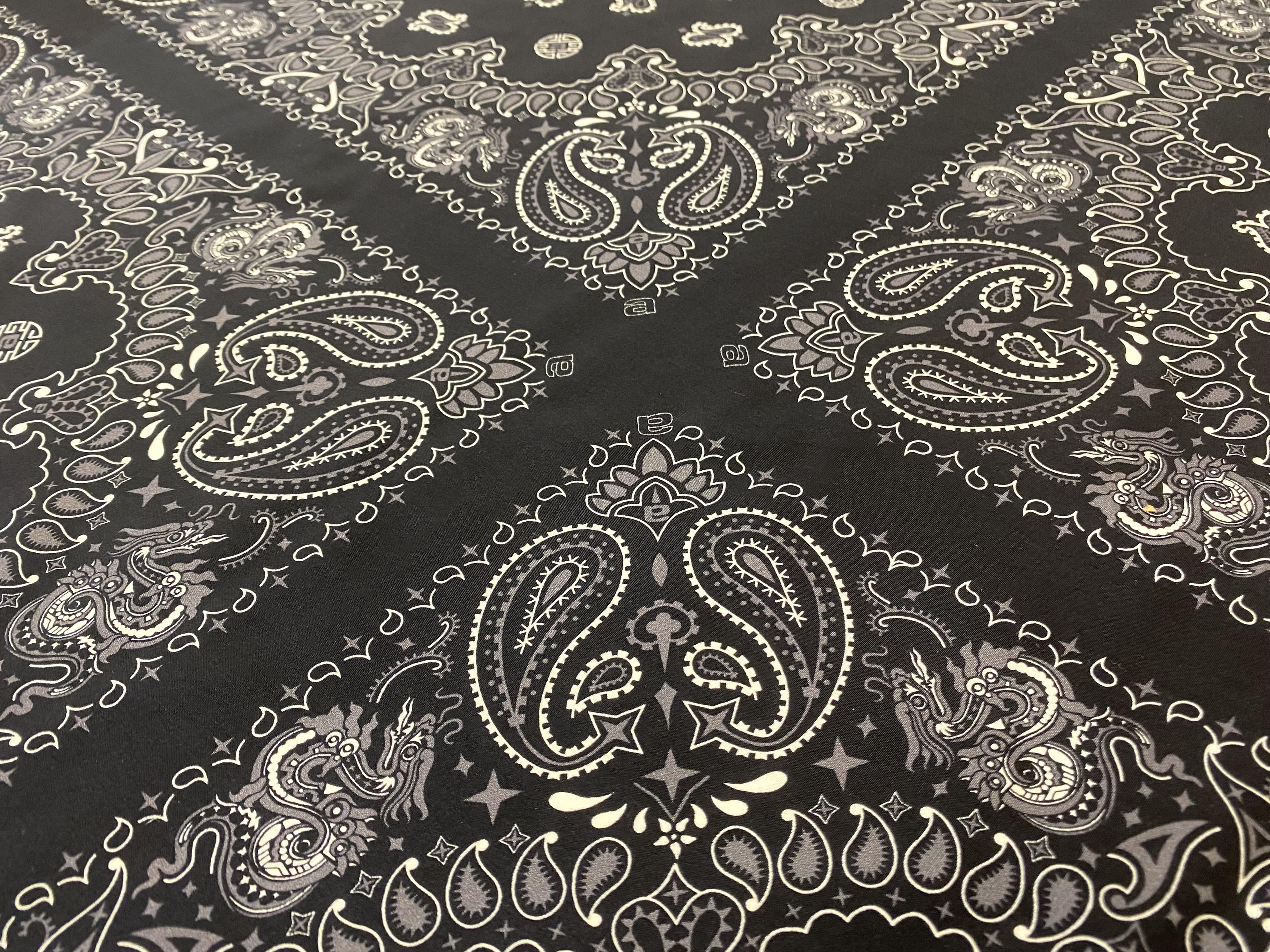 100% 2-Ply Silk Paisley Print