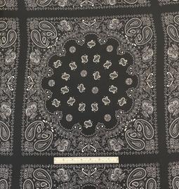 100% 2-Ply Silk Paisley Print