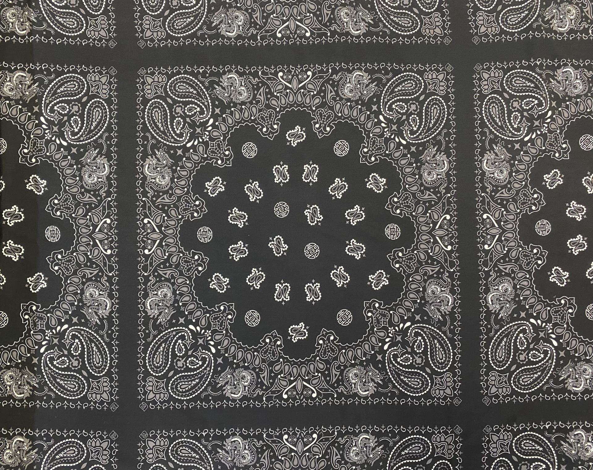 100% 2-Ply Silk Paisley Print