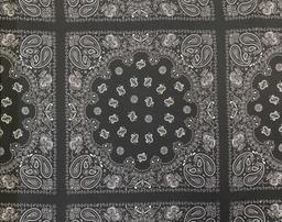 100% 2-Ply Silk Paisley Print