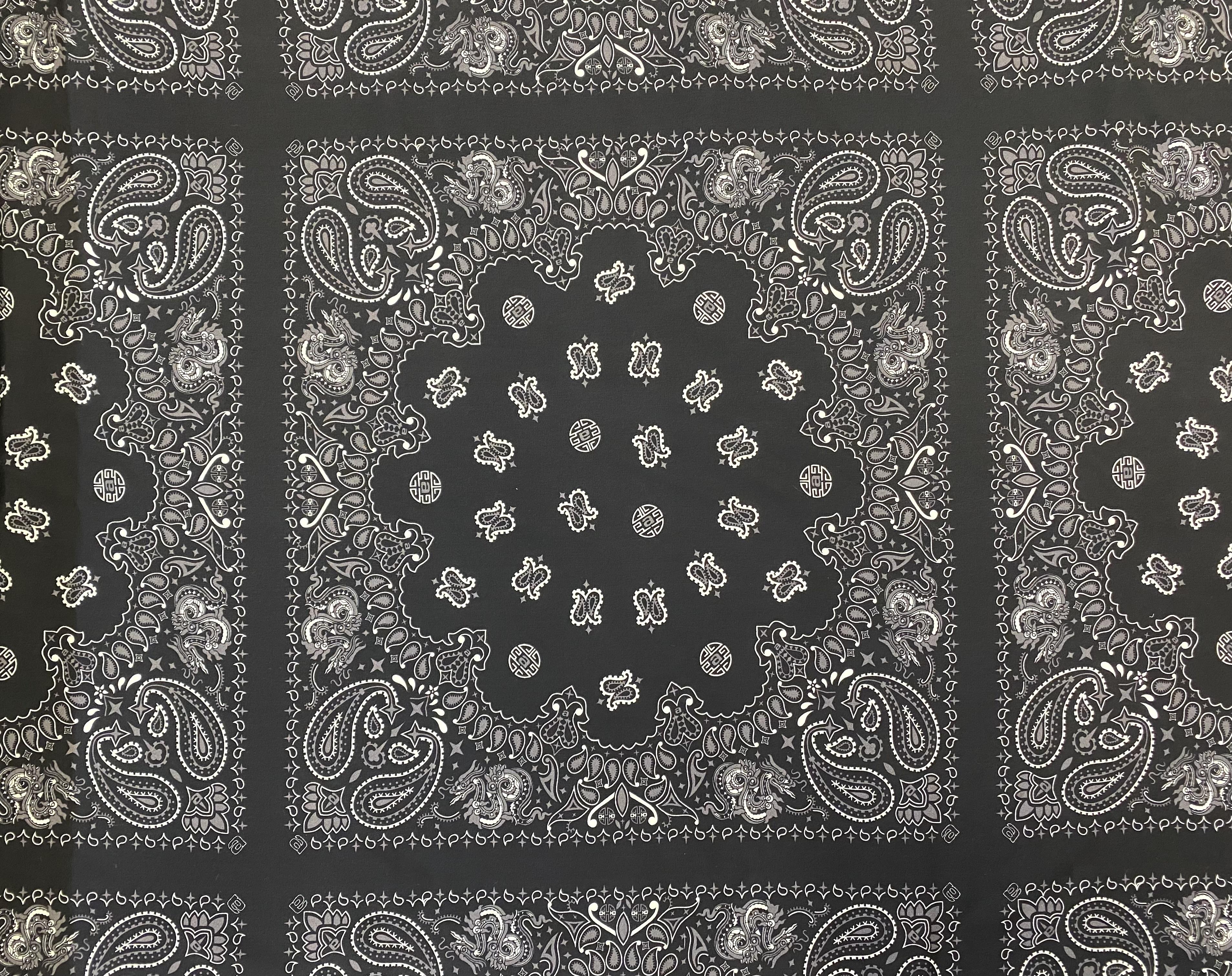 100% 2-Ply Silk Paisley Print