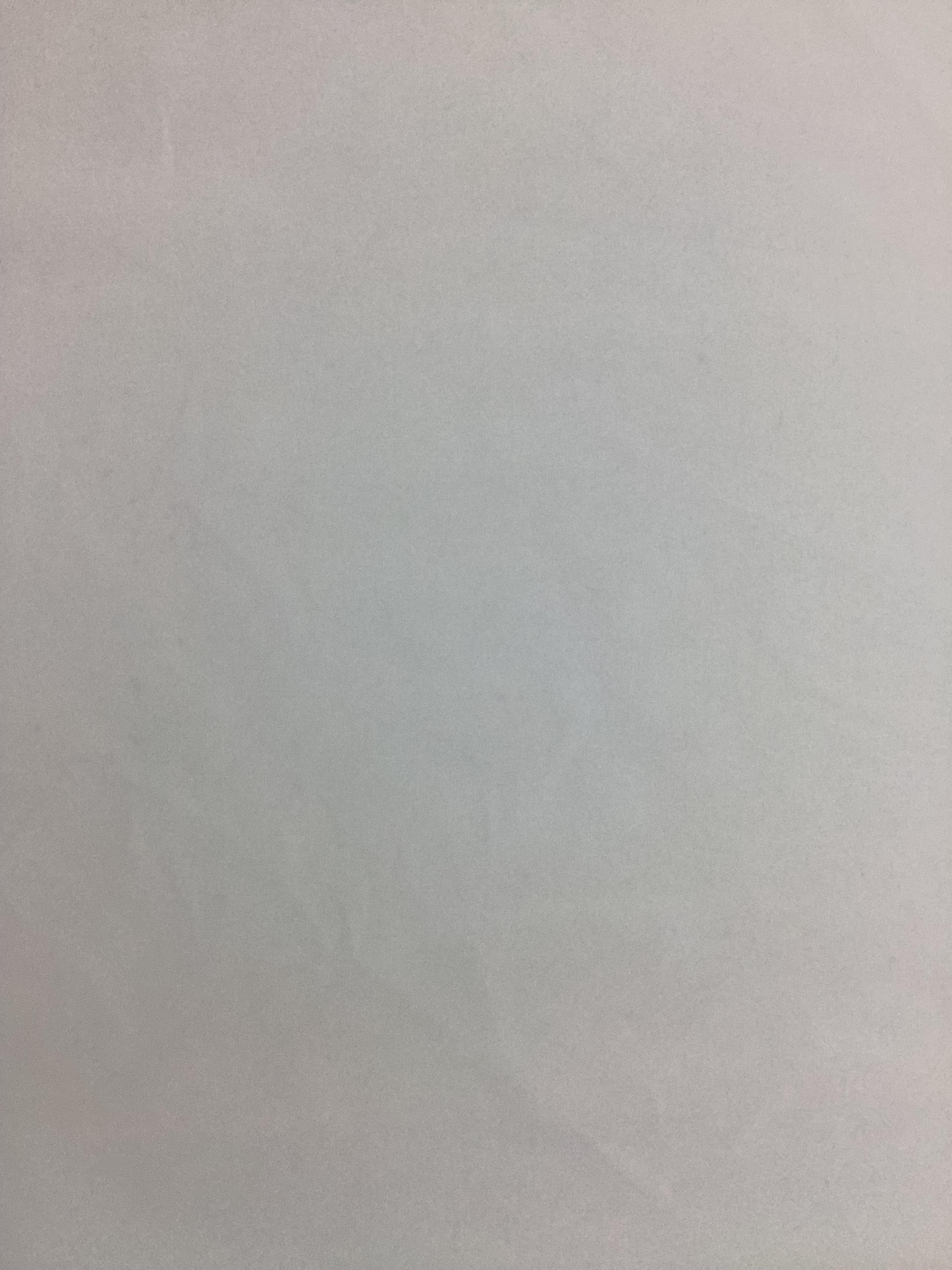 Polyester Satin Face Organza in Diamond White