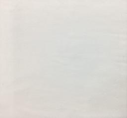 Triacetate and Polyester Sponge Crepe