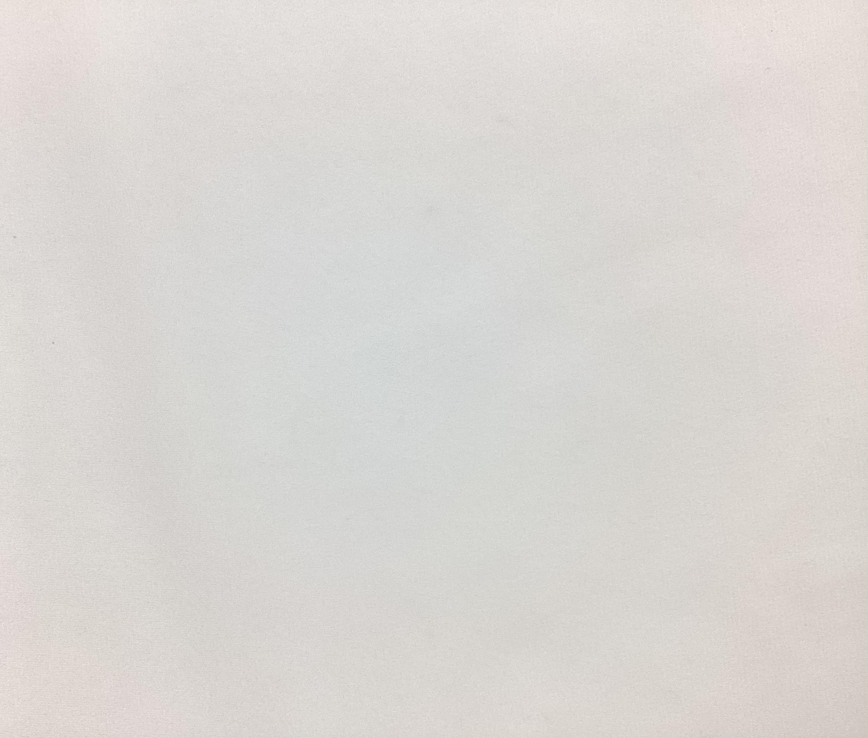 Polyester Double Georgette in Off White