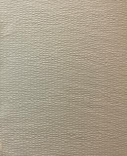 Hammered Silk Satin in Ivory