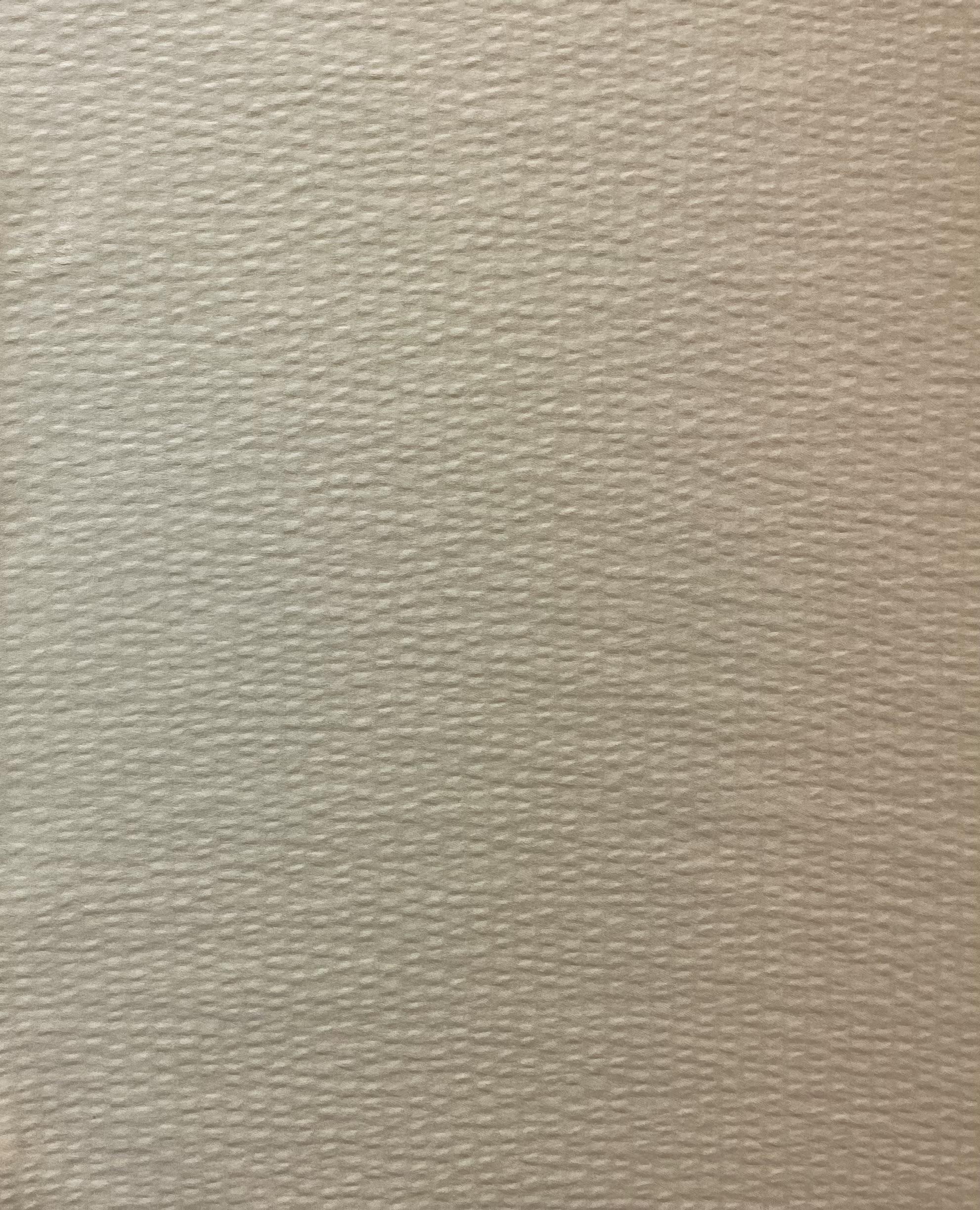 Hammered Silk Satin in Ivory