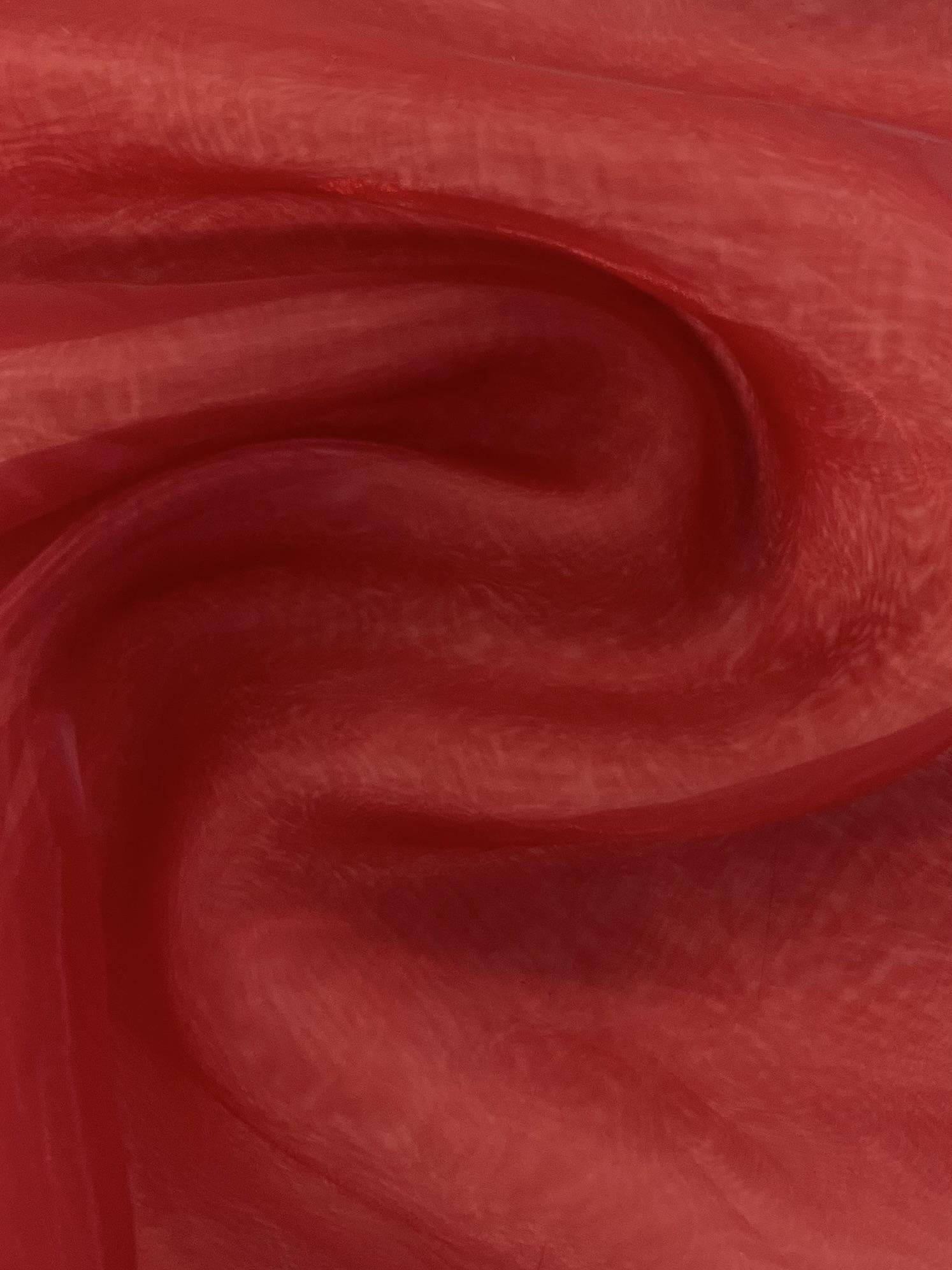 Polyester Organza Onion Skin in Garnet