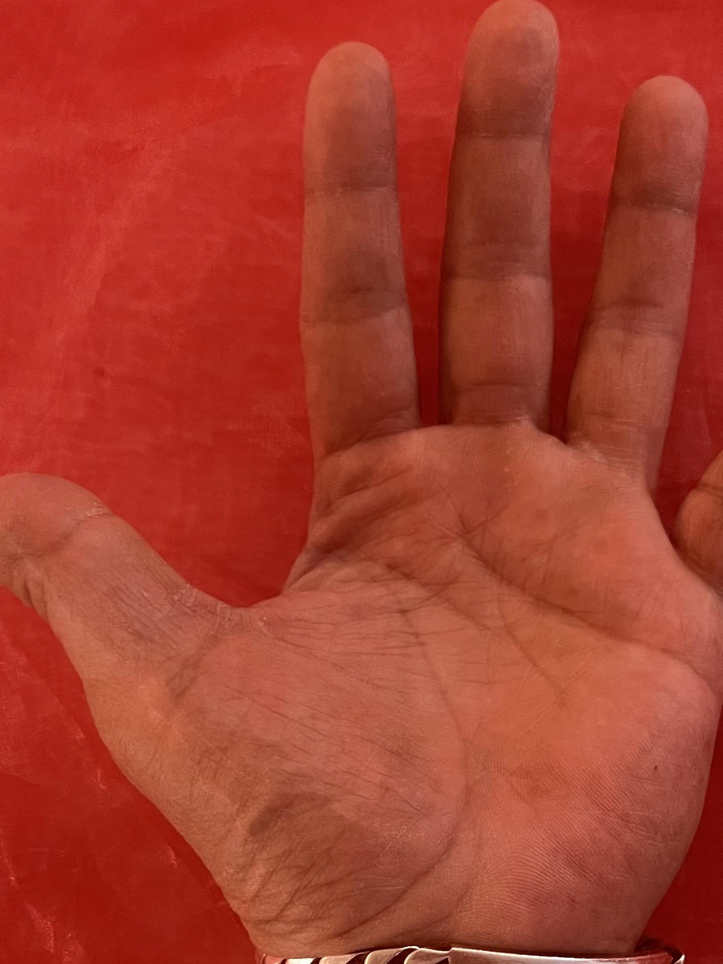 Polyester Organza Onion Skin in Garnet