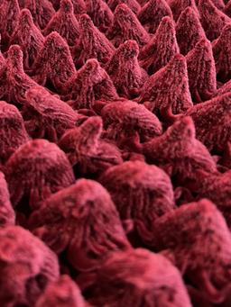 French Novelty Dimensional Cone Shaped Iridescent Velvet in Fuchsia Black