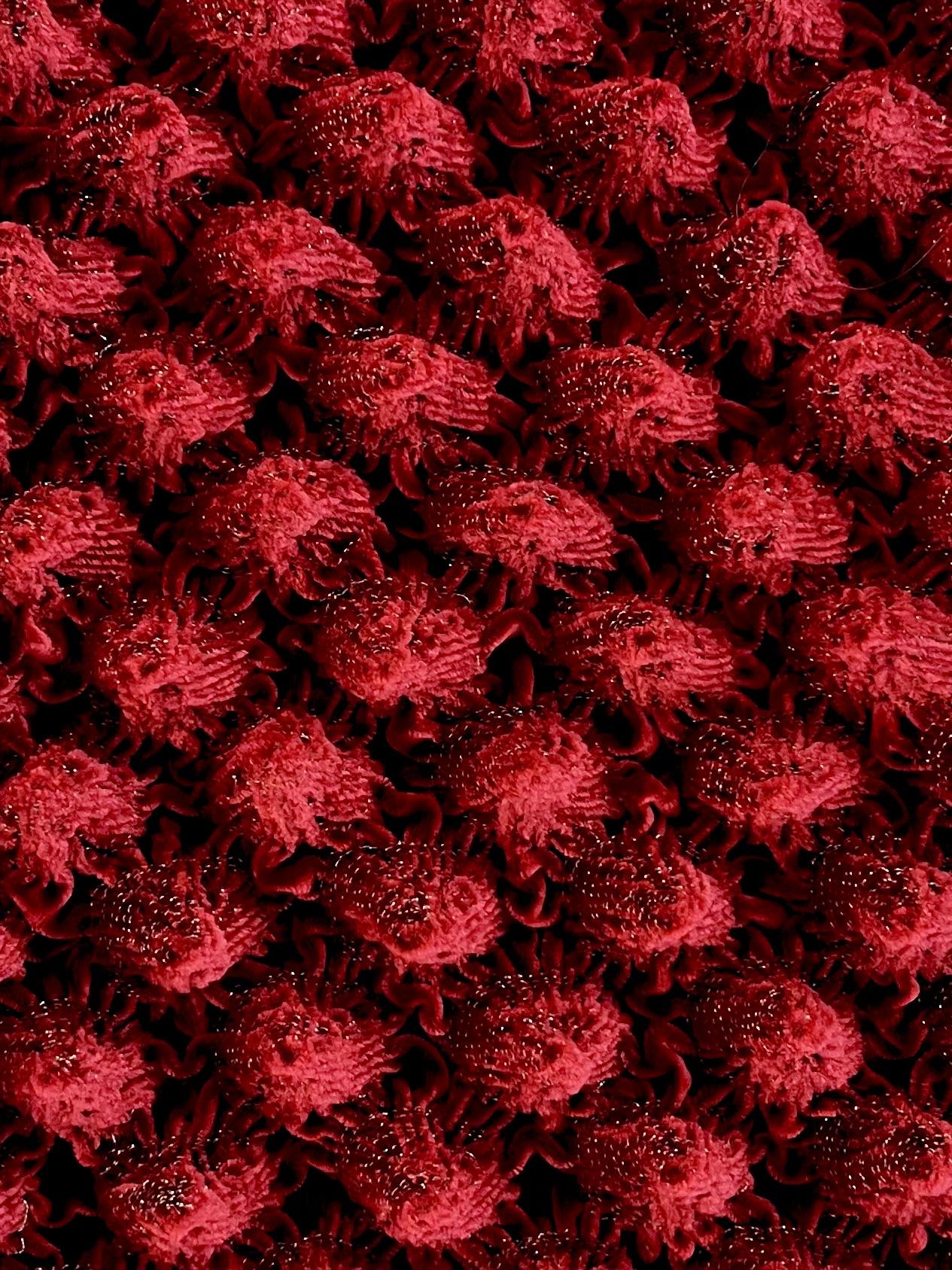 French Novelty Dimensional Cone Shaped Iridescent Velvet in Rouge Red Green