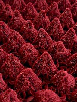 French Novelty Dimensional Cone Shaped Iridescent Velvet in Rouge Red Green