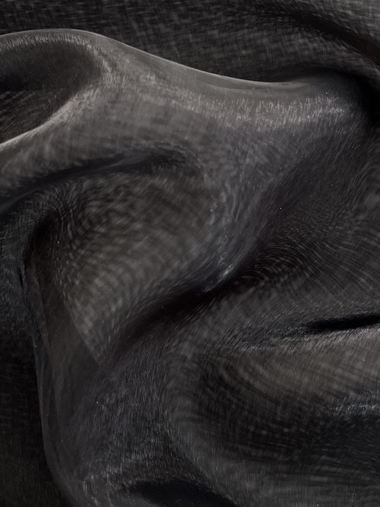 Polyester Extra Fine Iridescent Organza in Black/Black