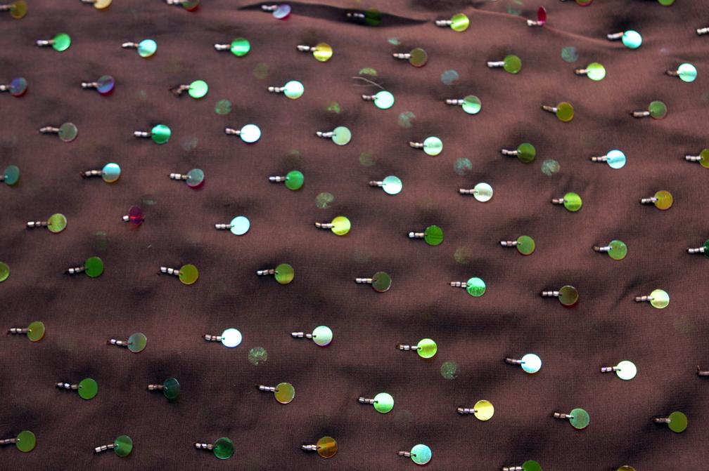 Paillettes on Silk Chiffon0