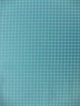 Cotton Broadcloth Print0